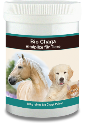 Chaga poeder Multinova