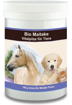 Maitake poeder Multinova