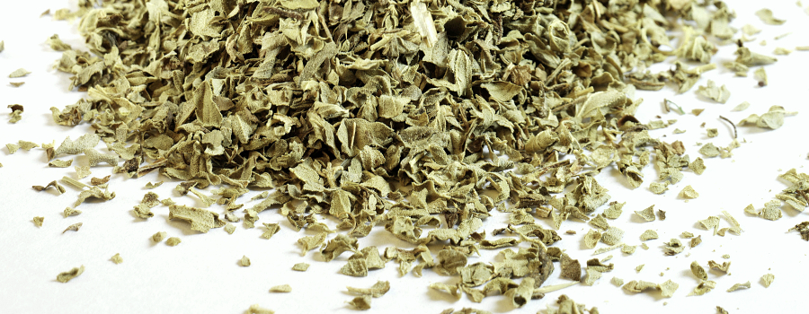 oregano
